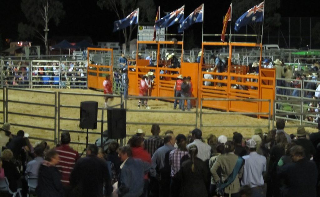 There wasn't a spare seat to be had at the newly introduced Saturday night rodeo at this year's Clifton Show. There wasn't a spare seat to be had at the newly introduced Saturday night rodeo at this year's Clifton Show.